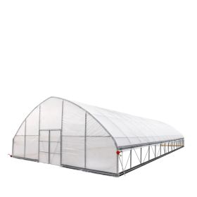30' x 60' Tunnel Greenhouse Grow Tent w/6 Mil Clear EVA Plastic Film, Cold Frame, Hand Crank Roll-Up Sides, Peak Ceiling Roof, TMG-GH3060