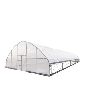 30' x 80' Tunnel Greenhouse Grow Tent w/6 Mil Clear EVA Plastic Film, Cold Frame, Hand Crank Roll-Up Sides, Peak Ceiling Roof, TMG-GH3080