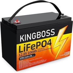12V 100Ah LiFePO4 Battery, Lithium Battery Built-in 100A BMS 1280Wh, Deep Cycle Battery Up to 12000 Cycle Times, Iron Phosphate Battery for RV, S (Color: Black)